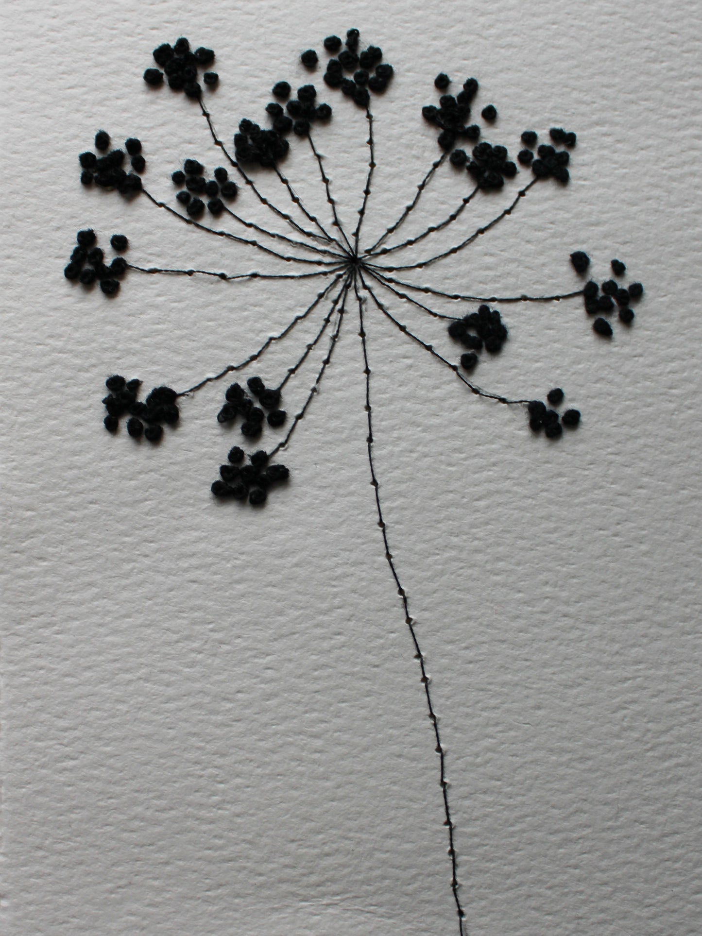 Ammi Majus Paper Embroidery