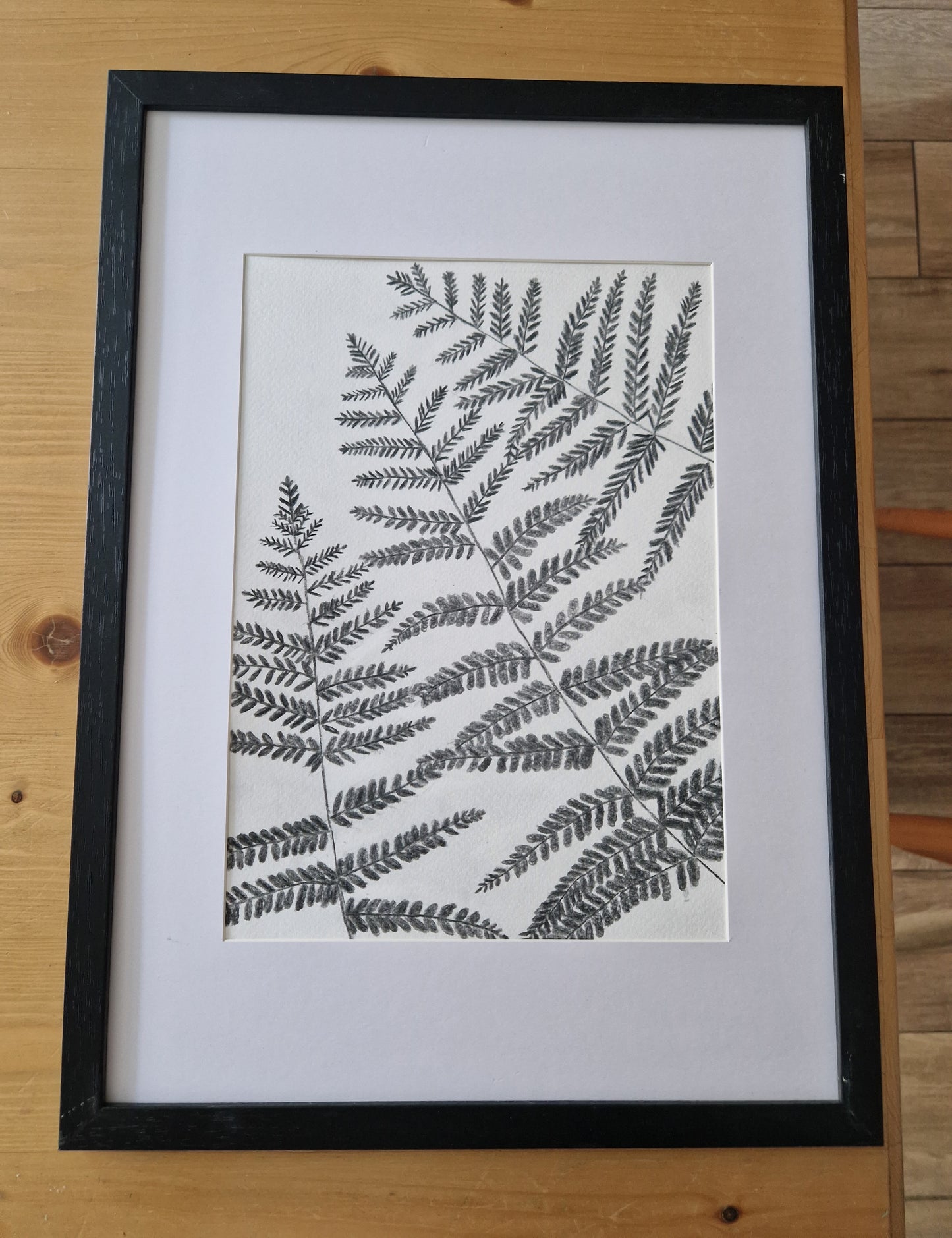 Woodland ferns