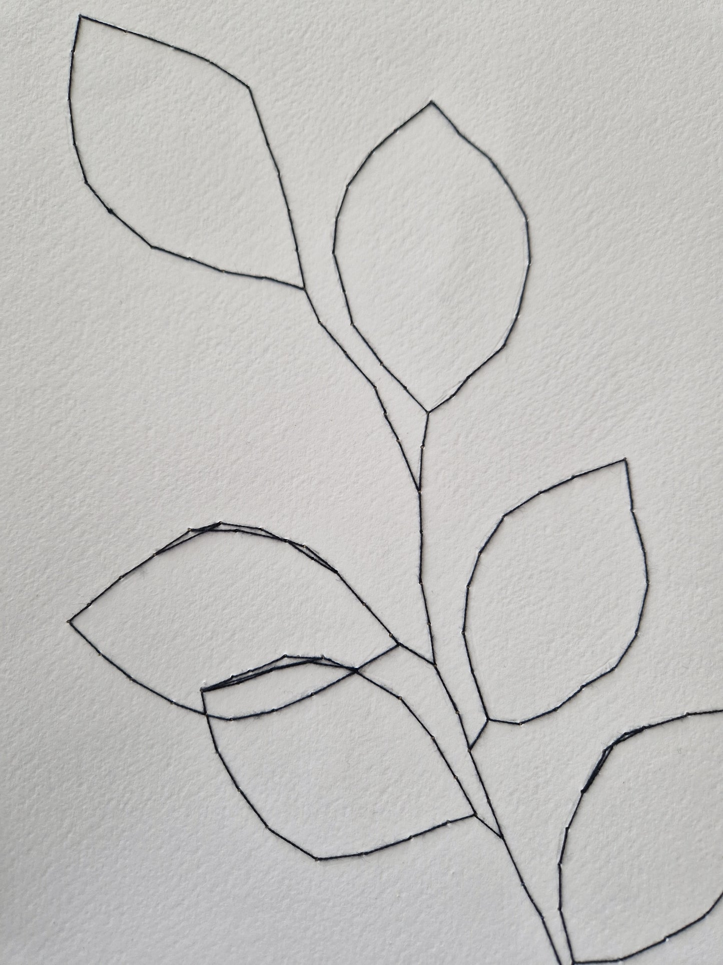 Beech