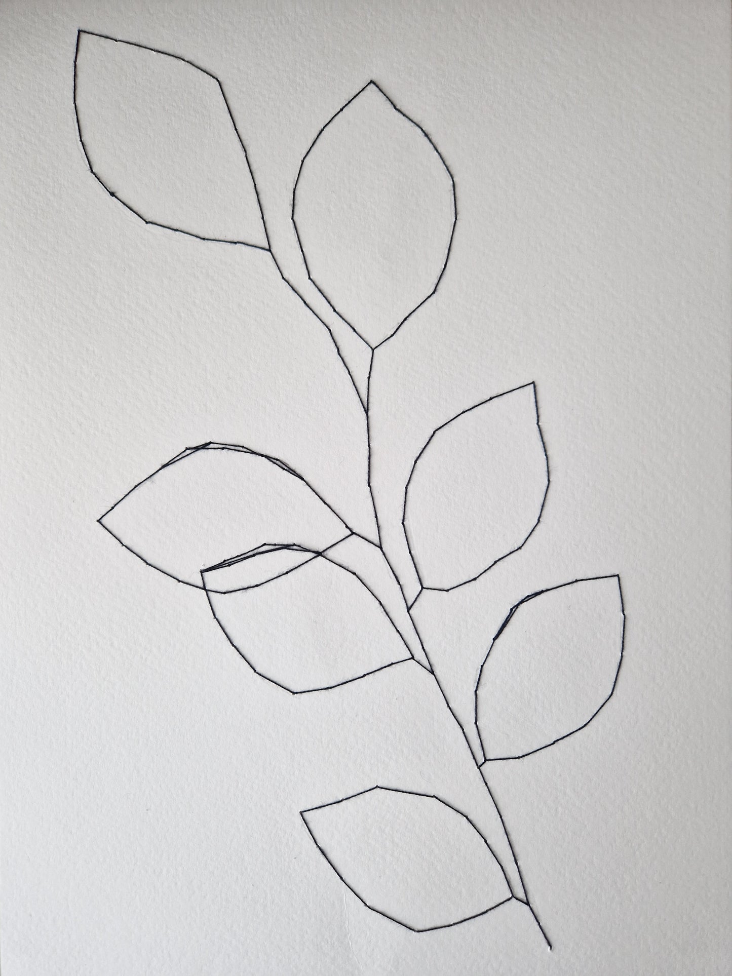 Beech