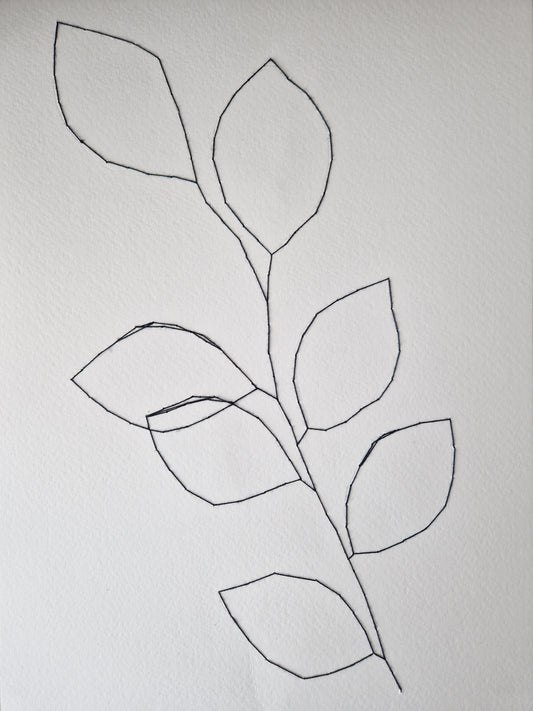 Beech