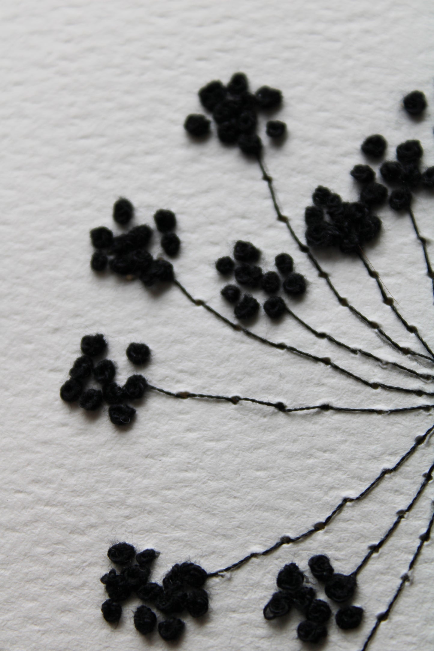 Ammi Majus Paper Embroidery